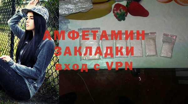 сатива Баксан