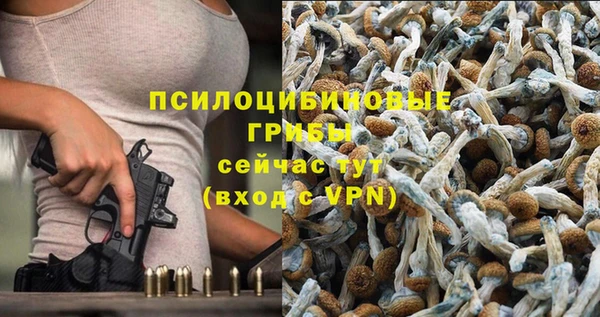 Альфа ПВП Балабаново