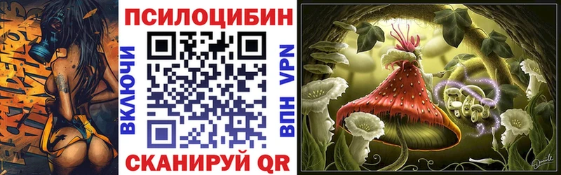 блэк спрут зеркало  Бугульма  Галлюциногенные грибы Cubensis 